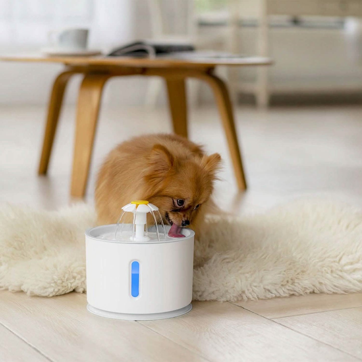2.4L Automatic Pet Water Fountain Pet Supplies - Tophatter Daily Deals