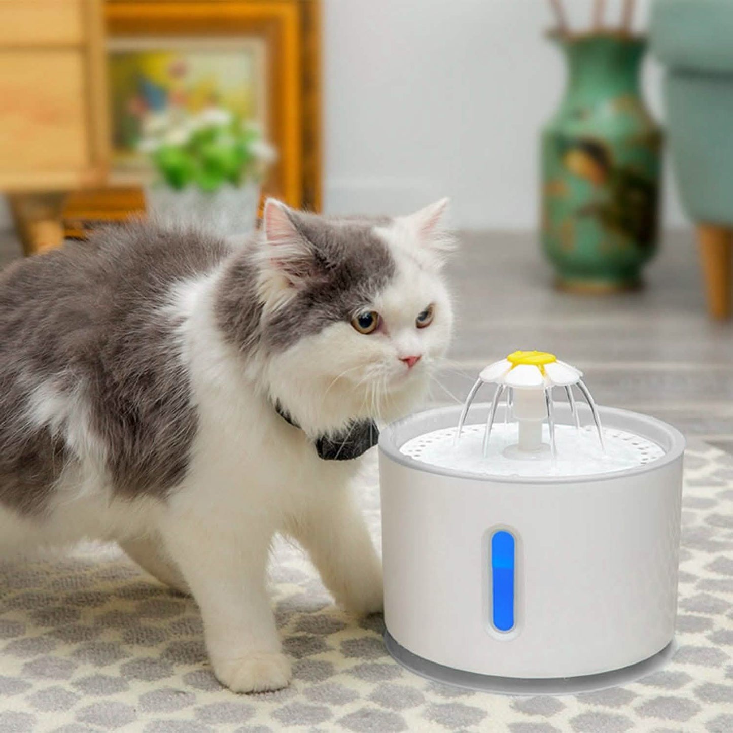 2.4L Automatic Pet Water Fountain Pet Supplies - Tophatter Daily Deals