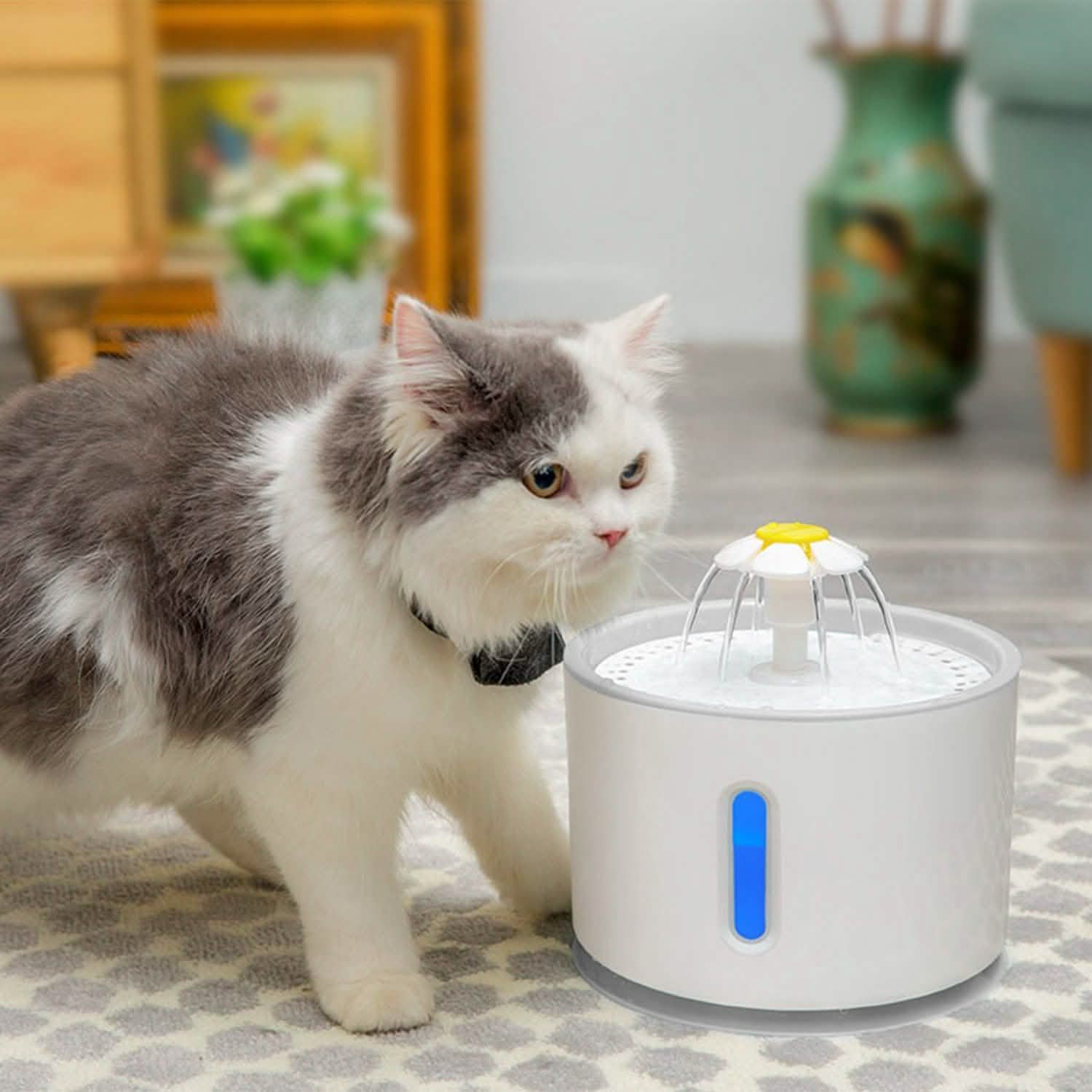 2.4L Automatic Pet Water Fountain Pet Supplies - Tophatter Daily Deals