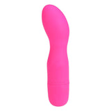 First Night Smooth G-Spot Vibrator 5" in Pink Vibrator - Tophatter Daily Deals