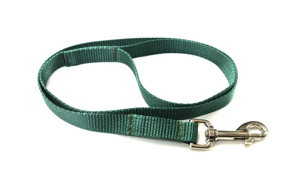 Dog Running Leash - 45
