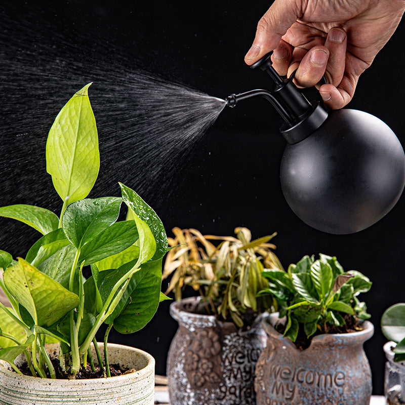 304 Stainless Steel Watering Sprayer Spherical Sprinkling Can 500ML 0 - Tophatter Daily Deals