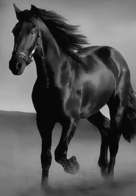 Art Canvas Animal Dark Horse Wall Art Living Room Home Decor As shown 0 - Tophatter Daily Deals