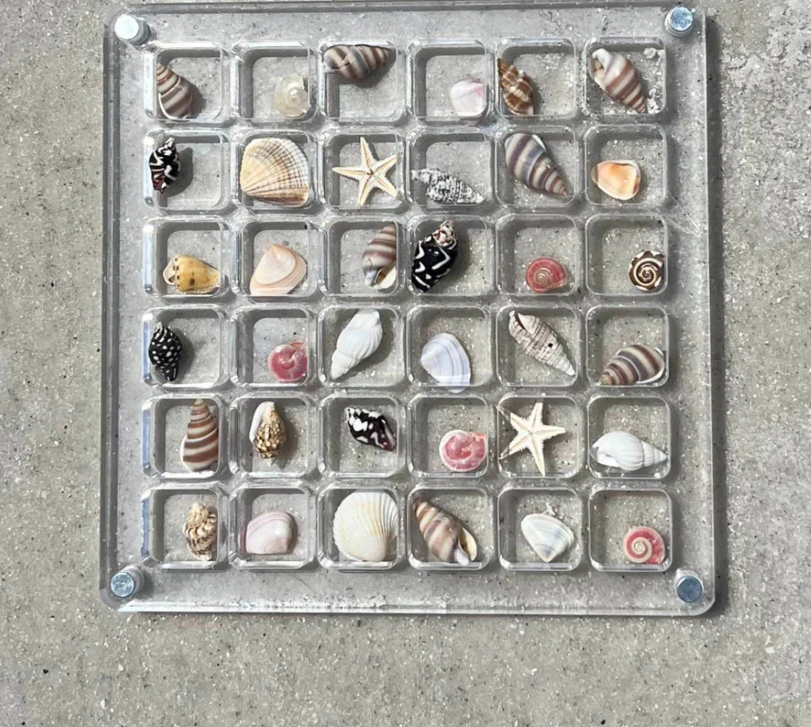 Seashell Display Case - Tophatter Daily Deals