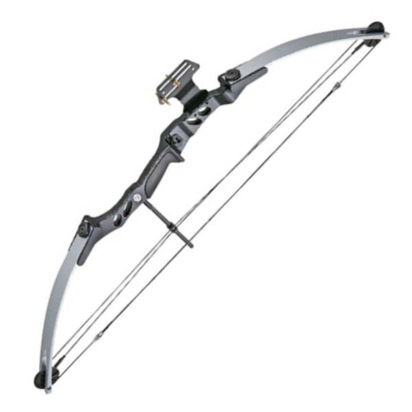 55 LBS 29" Draw Length Archery Hunting Compound Bow Speed 206FPS - Tophatter's Inc. Weapons Store Online Collectible Weapons - Tophatter Daily Deals