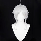 Mushoku Tensei: Isekai Ittara Honki Dasu Sylphiette Silver Cosplay Wig Wig - Tophatter Daily Deals