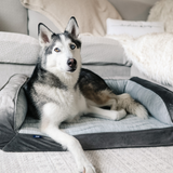 PupChill™ Cooling Bolster Dog Bed Pet Beds - Tophatter Daily Deals