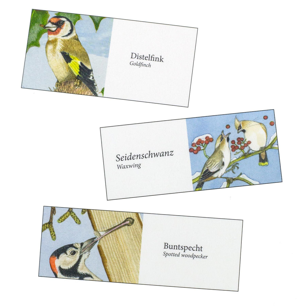 Birds in Winter Christmas Advent Calendar with Sound | Birdsong Advent Calendar Advent Calendar - Tophatter Daily Deals