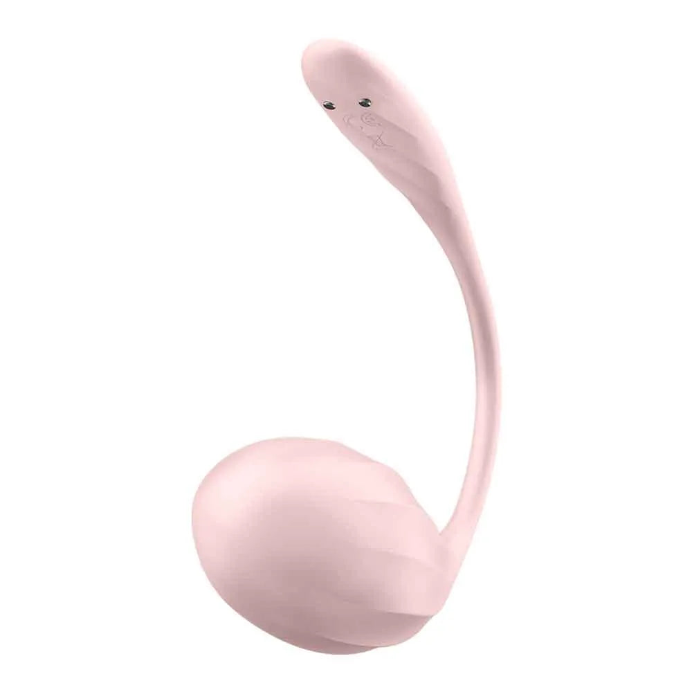 Satisfyer Ribbed Petal Connect – Portable Silicone Vibrator > Sex Toys For Ladies > G-Spot Vibrators - Tophatter Daily Deals