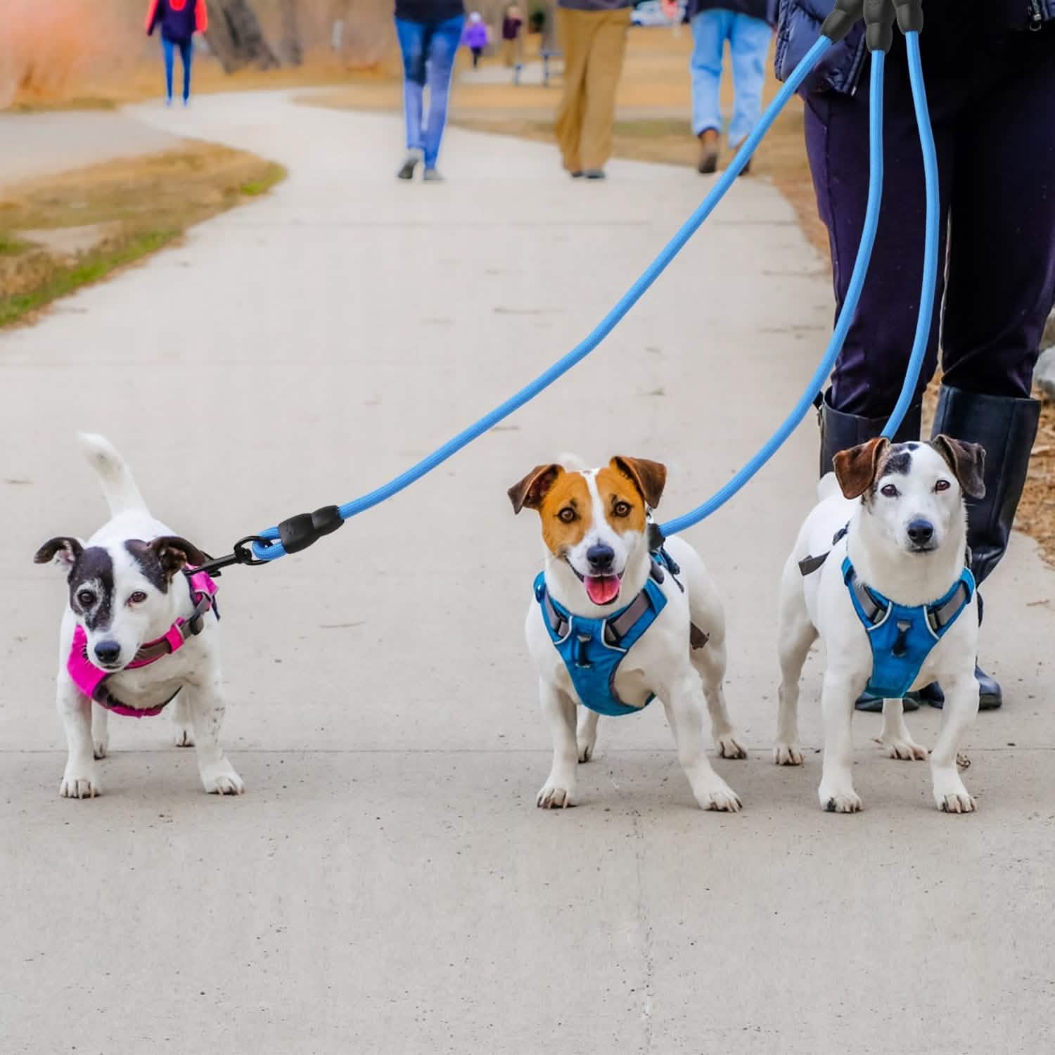 3 Dog Leash Traction Rope Walking Training Lead with Padded Handle Pet Supplies - Tophatter Daily Deals