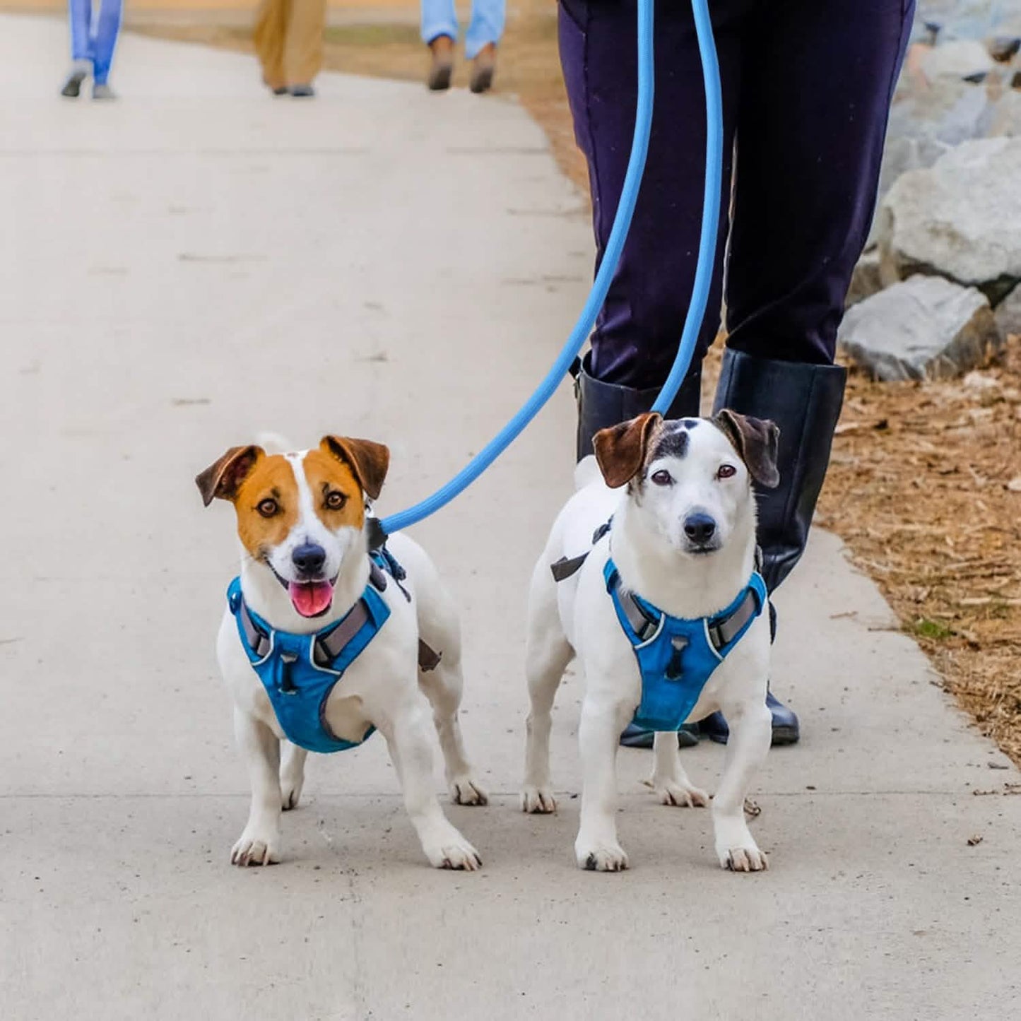 3 Dog Leash Traction Rope Walking Training Lead with Padded Handle Pet Supplies - Tophatter Daily Deals