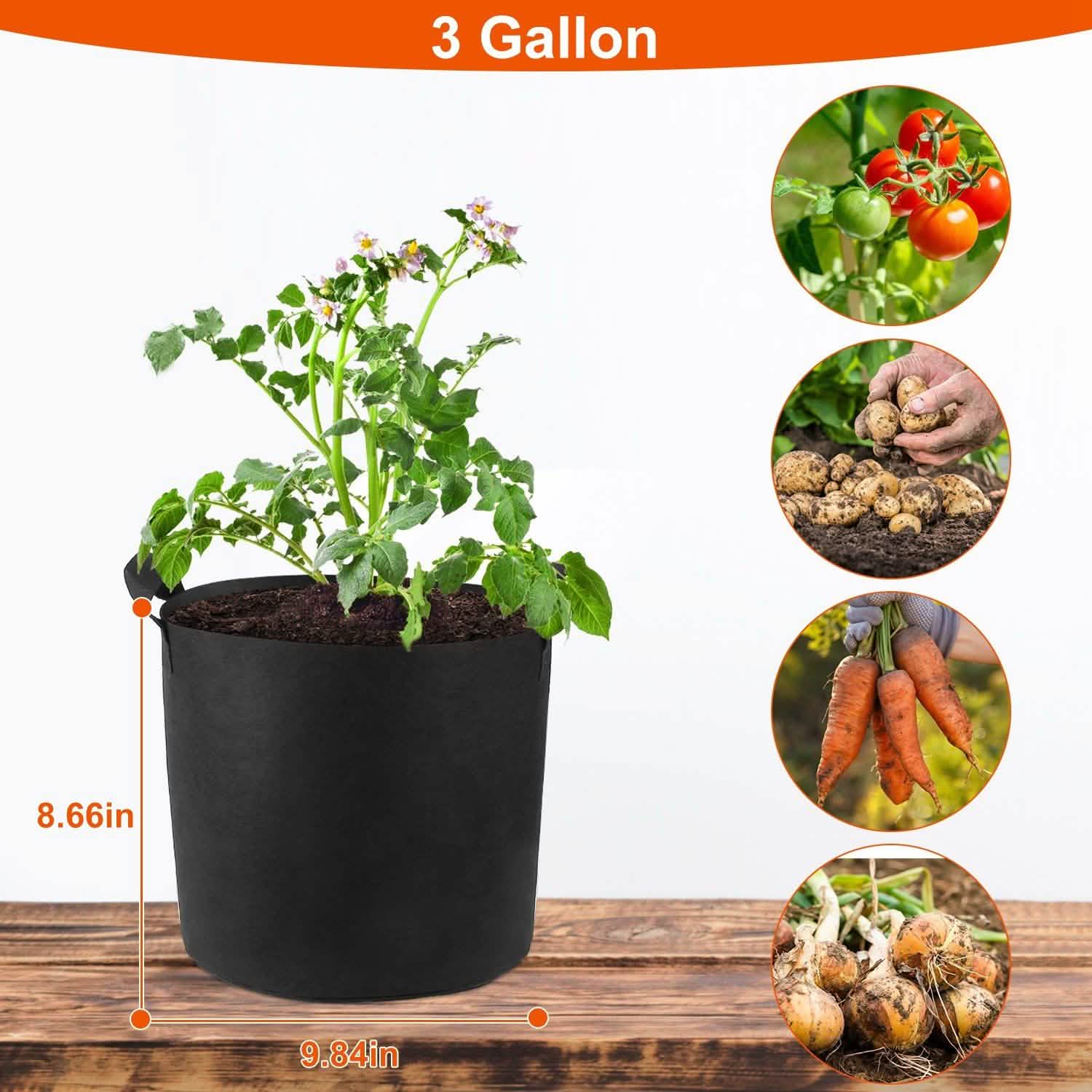 3-Pack: Planter Bags Breathable Planting Fabric Pots with Harvest Window Garden & Patio - Tophatter Daily Deals