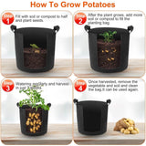 3-Pack: Planter Bags Breathable Planting Fabric Pots with Harvest Window Garden & Patio - Tophatter Daily Deals