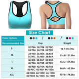 3-Pack: Women Padded Sports Bras Women's Lingerie - Tophatter Daily Deals