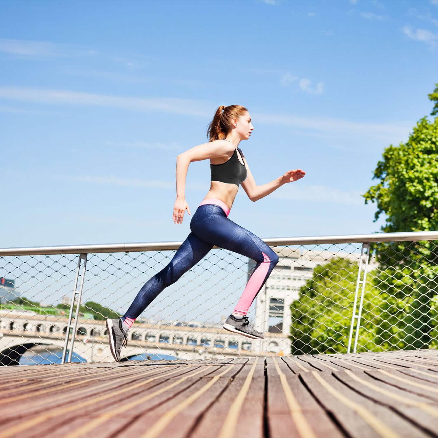 3-Pack: Women Padded Sports Bras Women's Lingerie - Tophatter Daily Deals