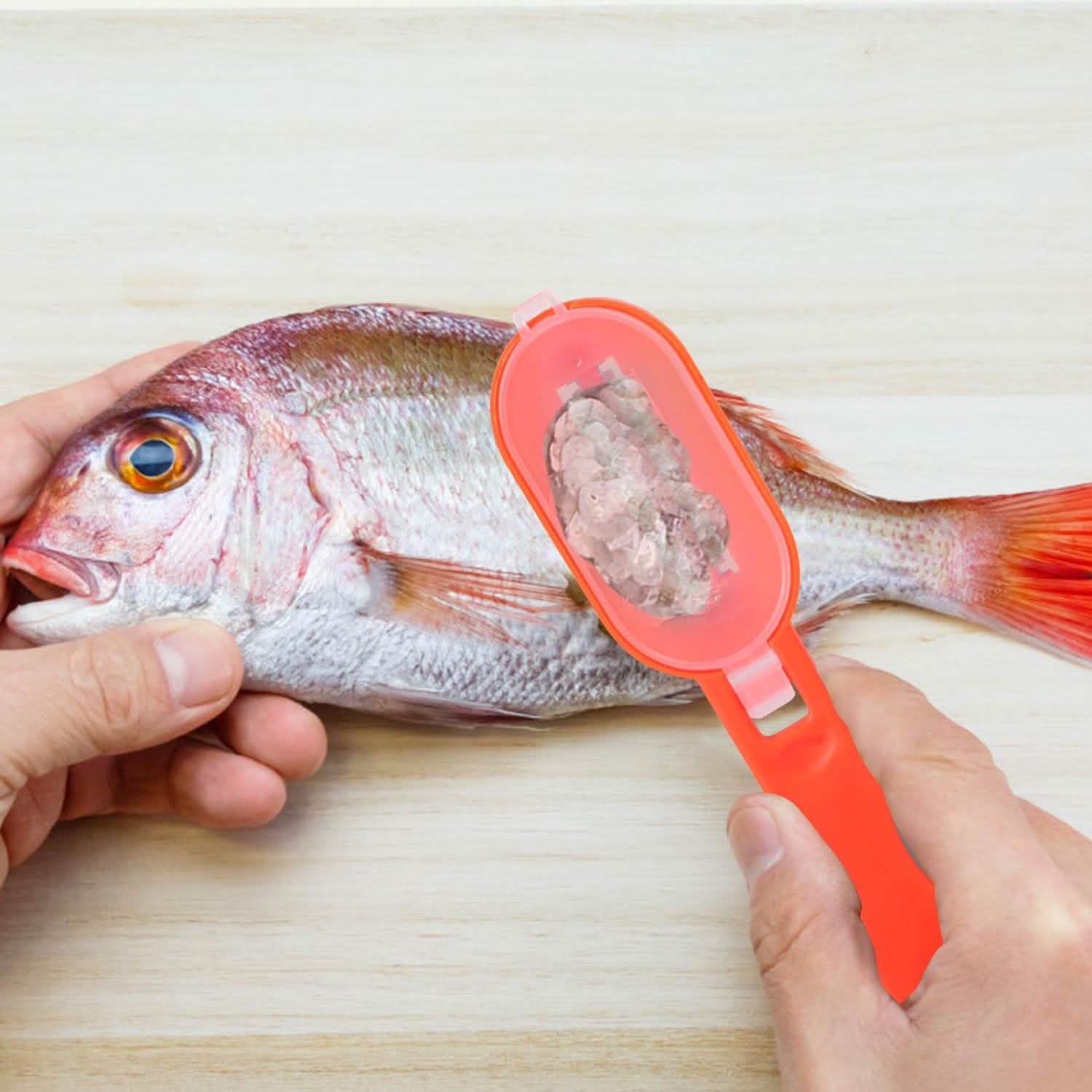 3-Piece: Fish Scale Remover Kitchen Tools & Gadgets - Tophatter Daily Deals