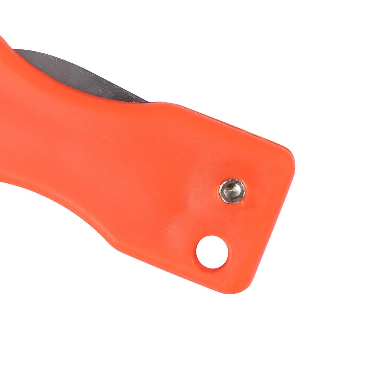 3-Piece: Fish Scale Remover Kitchen Tools & Gadgets - Tophatter Daily Deals