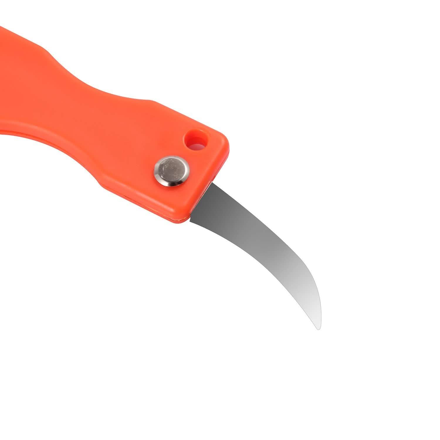 3-Piece: Fish Scale Remover Kitchen Tools & Gadgets - Tophatter Daily Deals