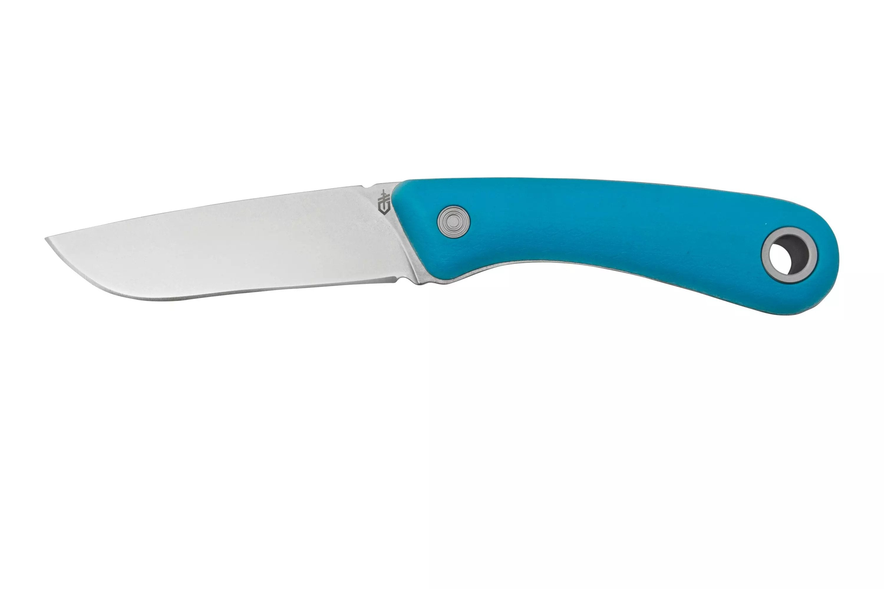 Gerber Spine - Fixed Blade - Fine Edge - Cyan Handle - 30-001498 Knives - Tophatter Daily Deals