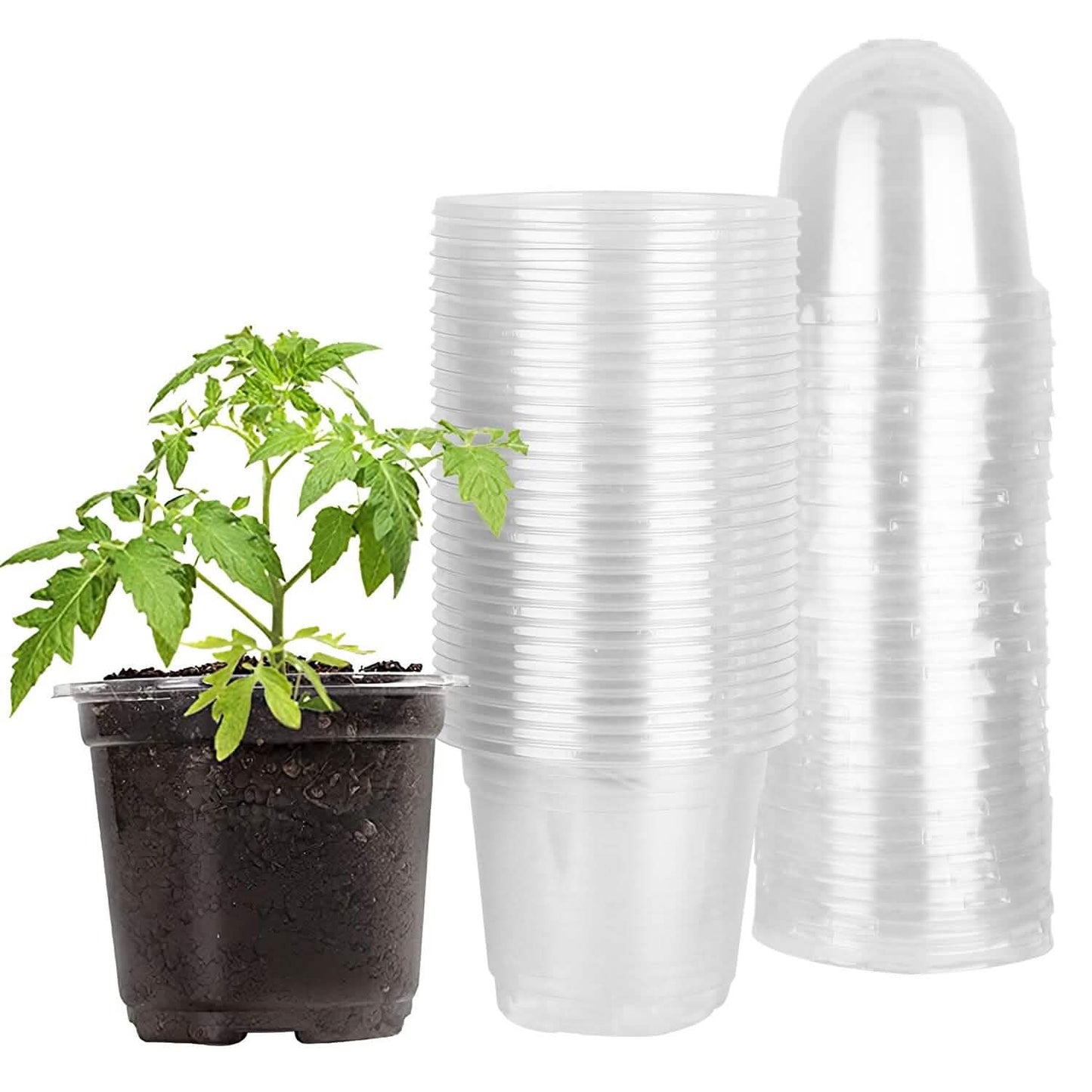 30-Pieces: Plant Nursery Pots PET Flower Seed Starting Pots Container with Dome Drainage Holes Garden & Patio - Tophatter Daily Deals