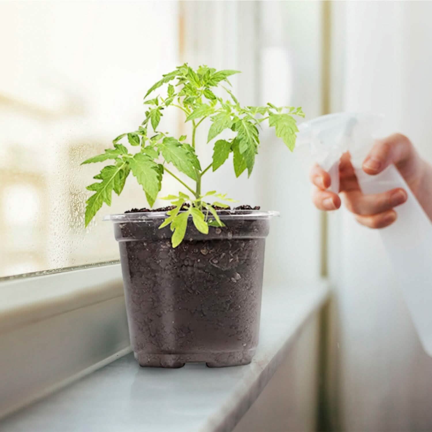 30-Pieces: Plant Nursery Pots PET Flower Seed Starting Pots Container with Dome Drainage Holes Garden & Patio - Tophatter Daily Deals
