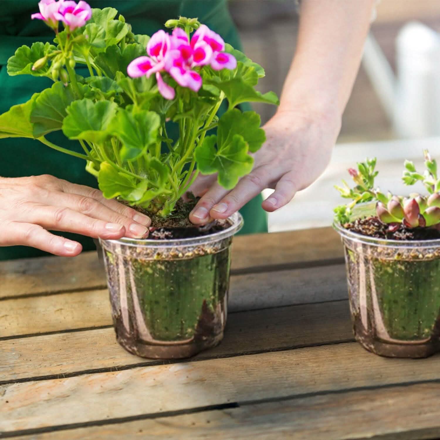 30-Pieces: Plant Nursery Pots PET Flower Seed Starting Pots Container with Dome Drainage Holes Garden & Patio - Tophatter Daily Deals