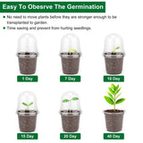 30-Pieces: Plant Nursery Pots PET Flower Seed Starting Pots Container with Dome Drainage Holes Garden & Patio - Tophatter Daily Deals