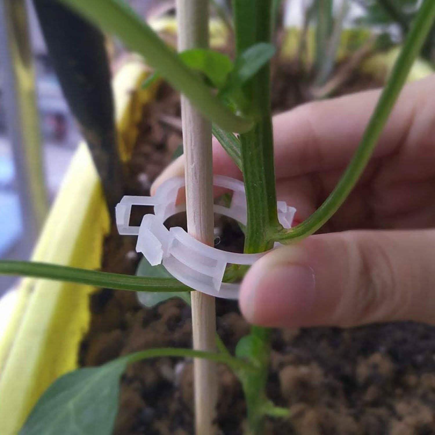 300-Pieces: Garden Plant Support Clips Garden & Patio - Tophatter Daily Deals