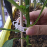 300-Pieces: Garden Plant Support Clips Garden & Patio - Tophatter Daily Deals