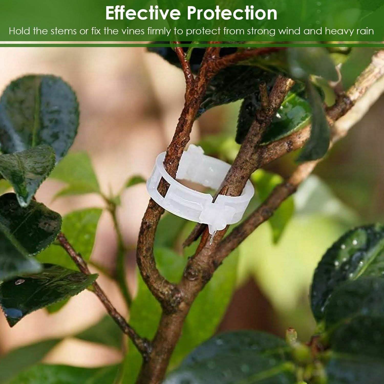 300-Pieces: Garden Plant Support Clips Garden & Patio - Tophatter Daily Deals