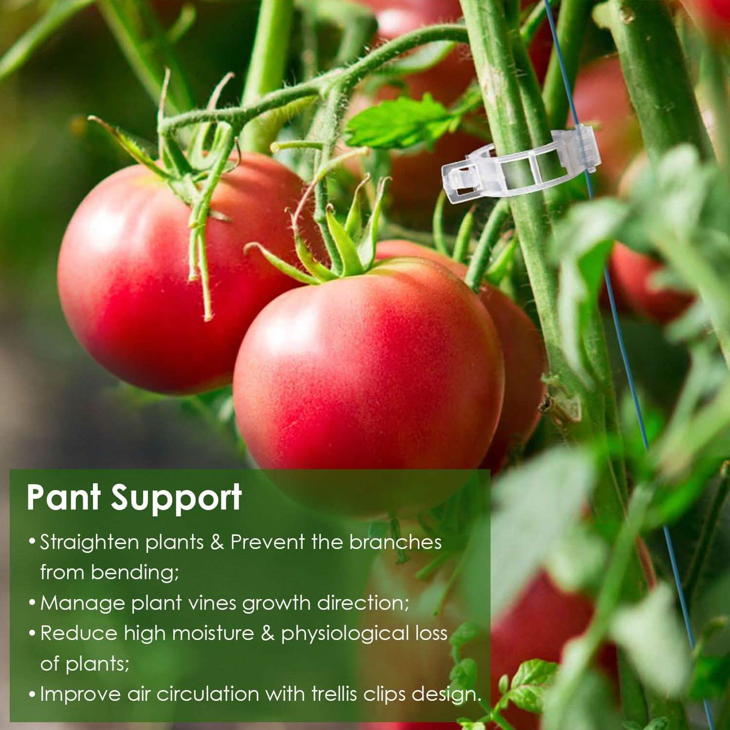 300-Pieces: Garden Plant Support Clips Garden & Patio - Tophatter Daily Deals