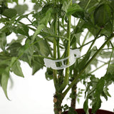 300-Pieces: Garden Plant Support Clips Garden & Patio - Tophatter Daily Deals