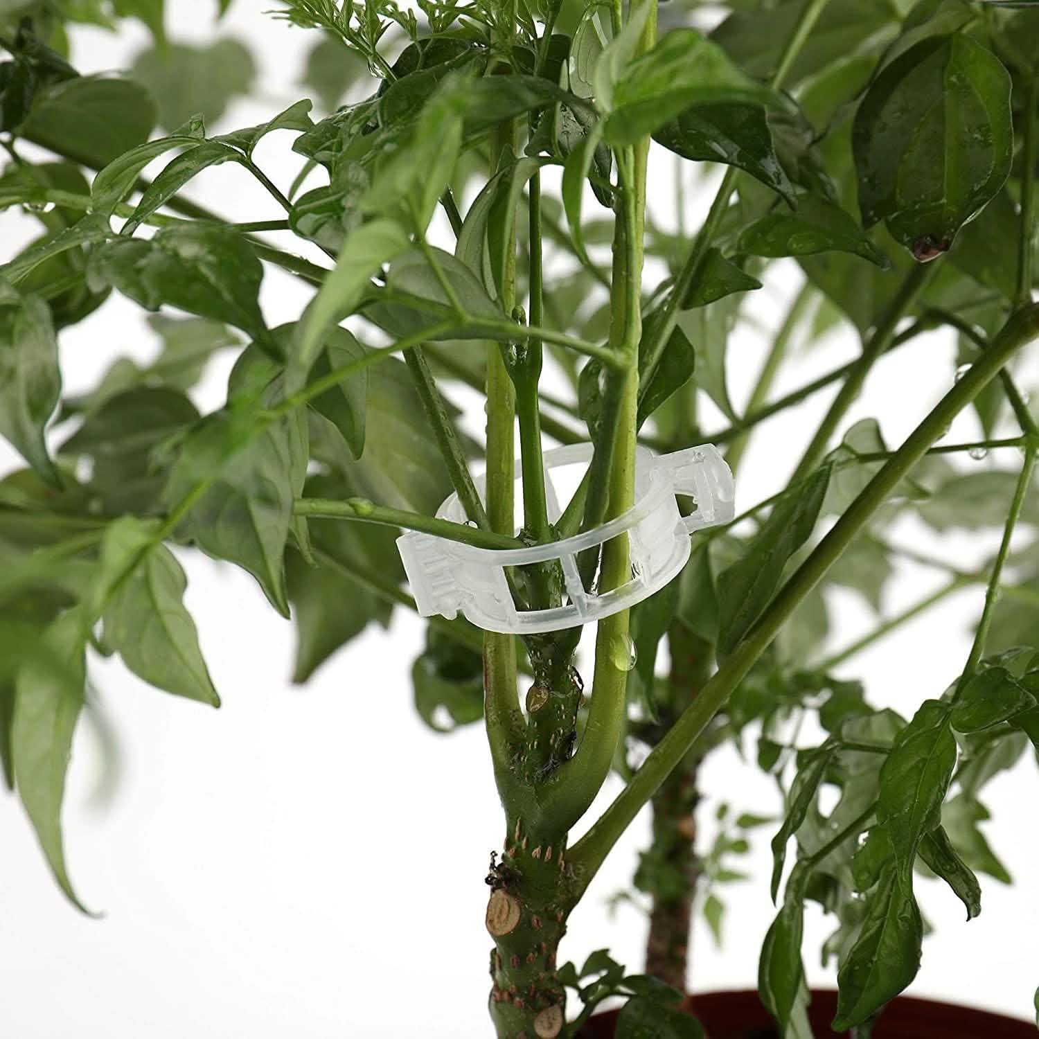 300-Pieces: Garden Plant Support Clips Garden & Patio - Tophatter Daily Deals