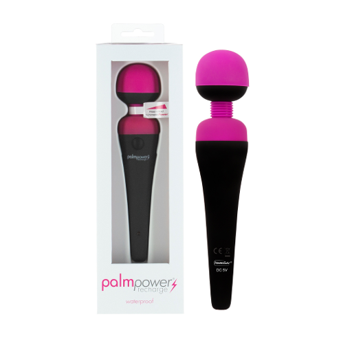 Palmpower Massage Wand Waterproof > Sex Toys > Massage Wands - Tophatter Daily Deals