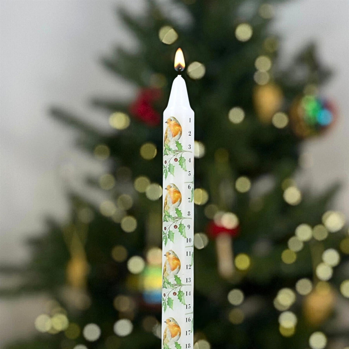Robin & Holly Advent Countdown Candle | Numbered Christmas Candle Calendar 23cm Advent Candle - Tophatter Daily Deals