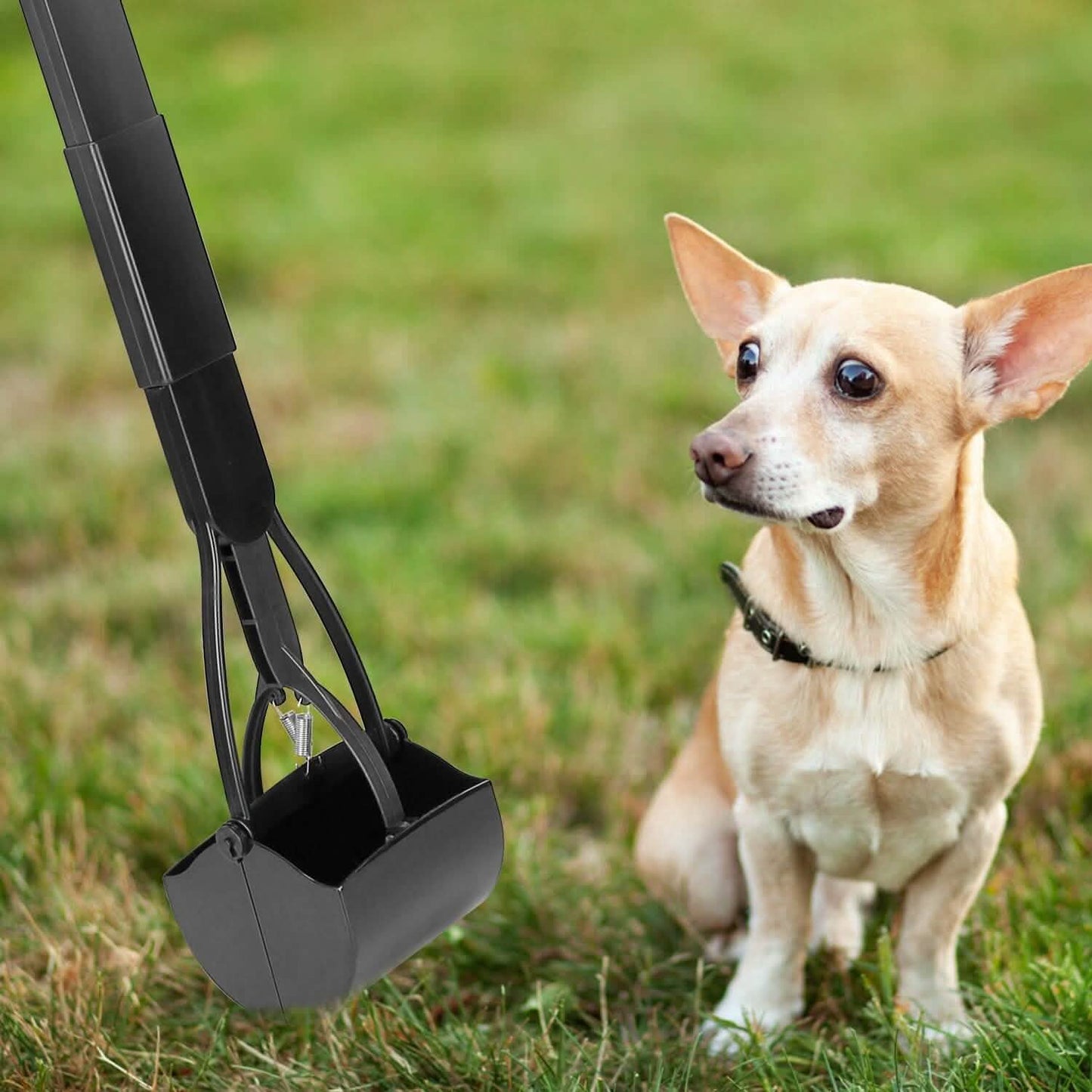 31.5-Inch Pet Pooper Scooper Pet Supplies - Tophatter Daily Deals