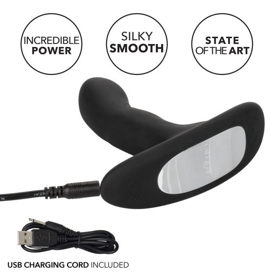 Eclipse Rocking Probe in Black Anal Sex Toys - Tophatter Daily Deals