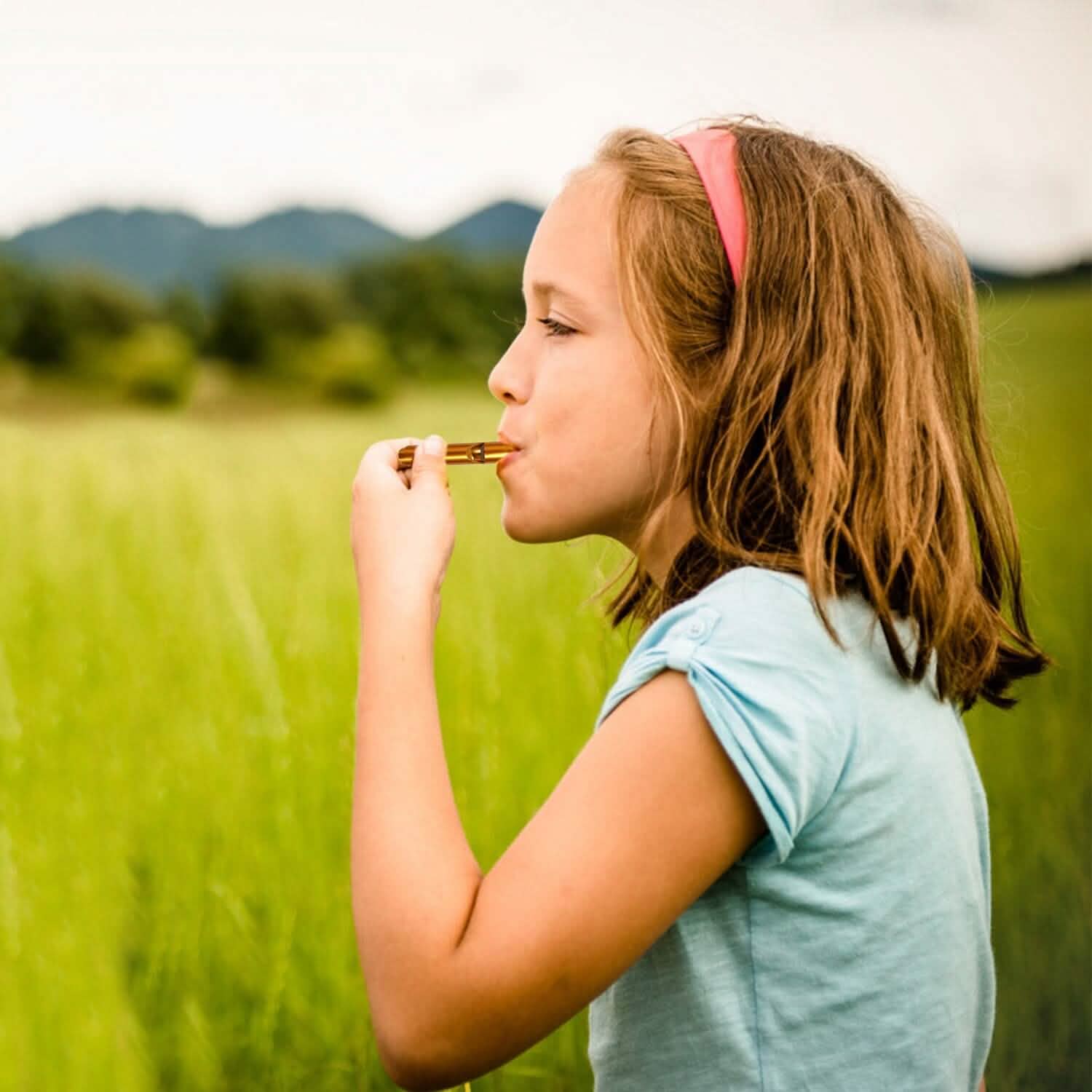 35-Pieces: Emergency Whistle Extra Loud with Key Chain Ring Outdoor Recreation - Tophatter Daily Deals