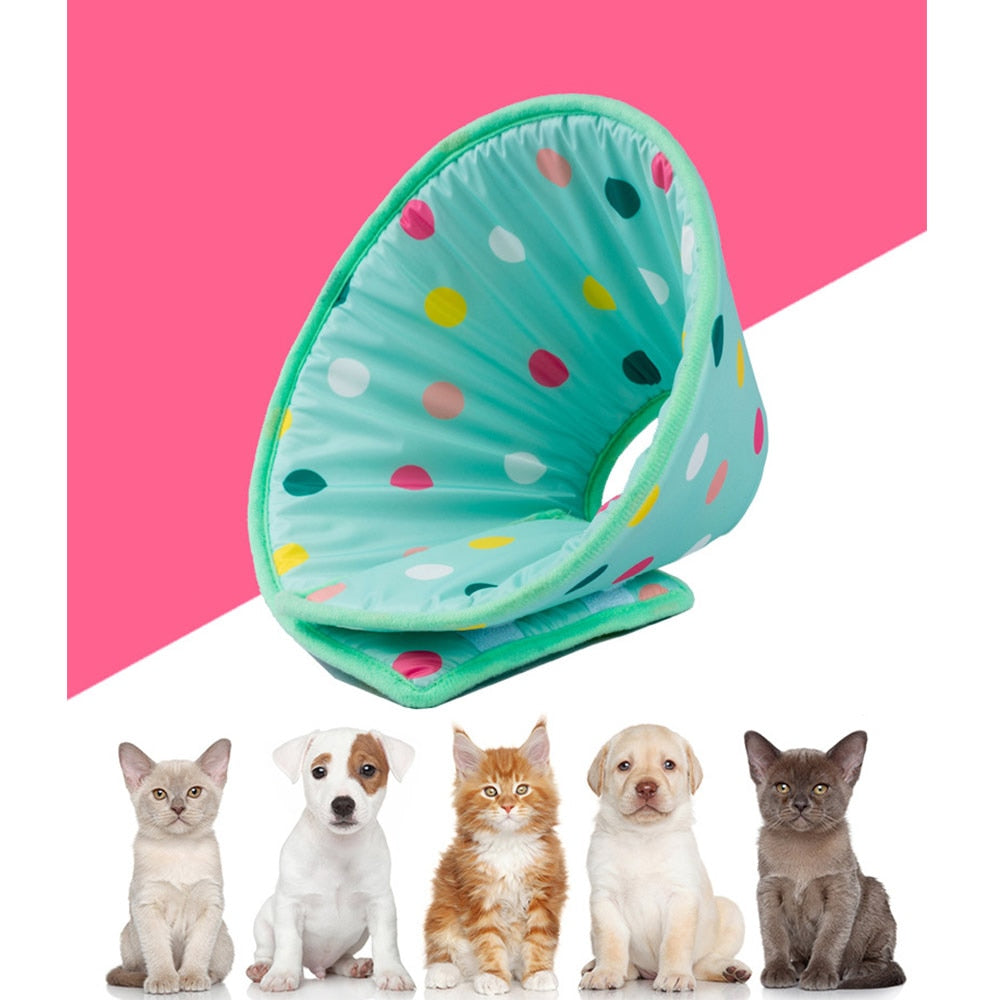 Anti Lick And Scratch Protection Ring For Pet Products 0 - Tophatter Daily Deals
