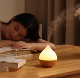 Asakusa wood grain 100ml aroma diffuser 0 - Tophatter Daily Deals