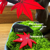 Red Maple Bonsai Perpetual Calendar Tree Decor - Tophatter Daily Deals