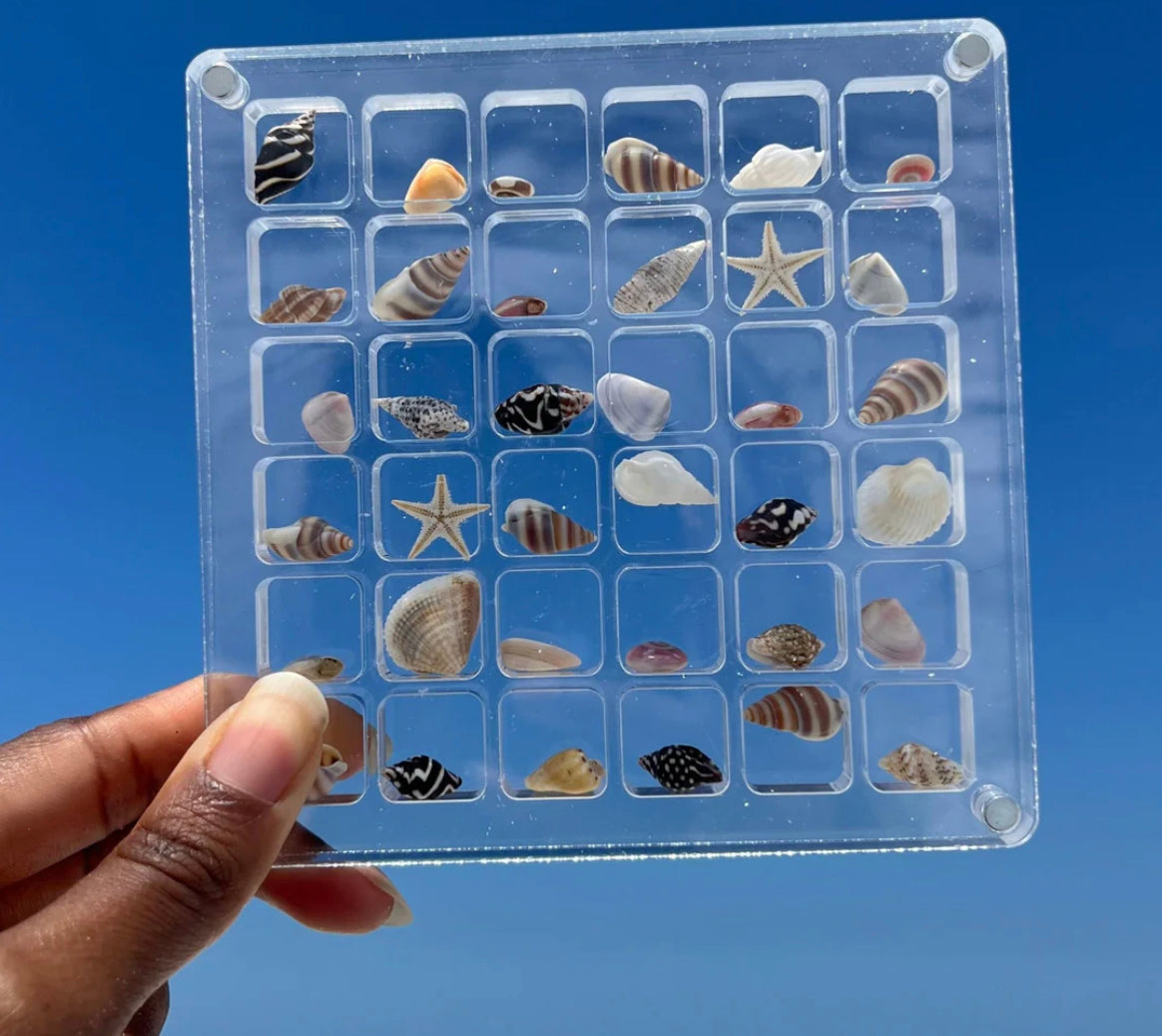 Seashell Display Case - Tophatter Daily Deals