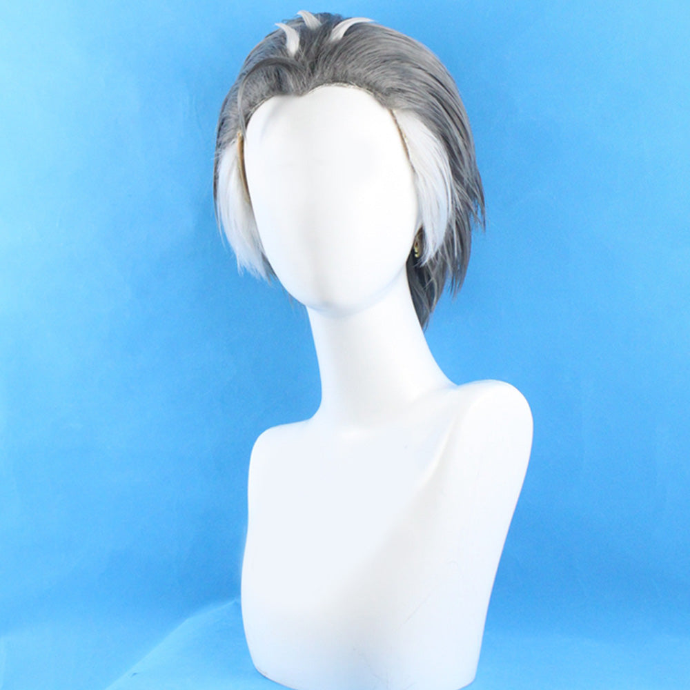 Pokemon Sword And Shield Kabu Grey White Cosplay Wig Wig - Tophatter Daily Deals