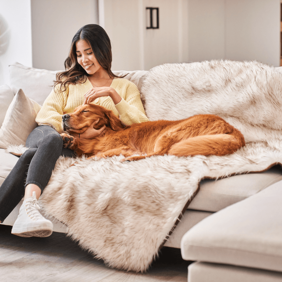 PupProtector™ Waterproof Throw Blanket - White with Brown Accents Pet Supplies - Tophatter Daily Deals