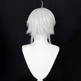 Mushoku Tensei: Isekai Ittara Honki Dasu Sylphiette Silver Cosplay Wig Wig - Tophatter Daily Deals