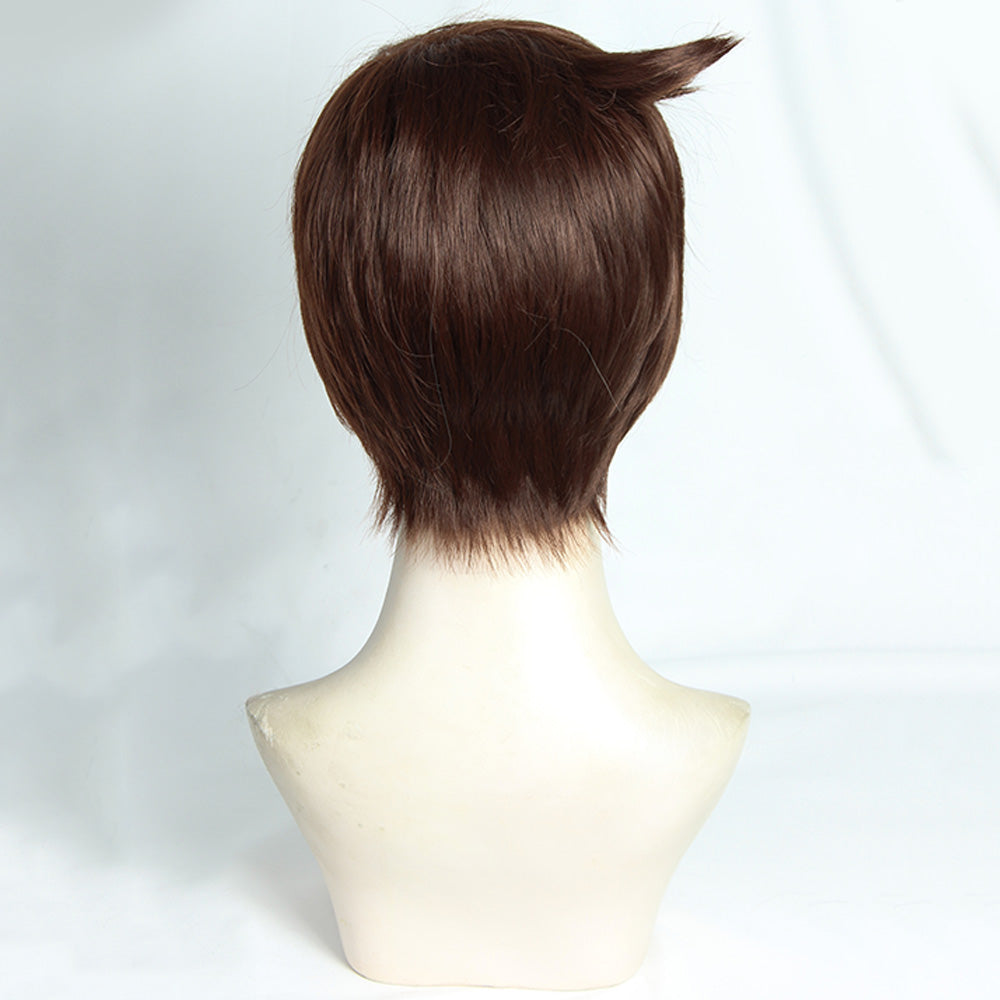 Pokemon Sword And Shield Male Trainer Brown Cosplay Wig Wig - Tophatter Daily Deals