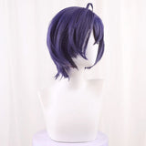 Zenless Zone Zero Random Play Proxy Belle Purple Cosplay Wig Wig - Tophatter Daily Deals