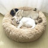 Almaguer Orthopedic Polyester Pet Bed - Tophatter Daily Deals