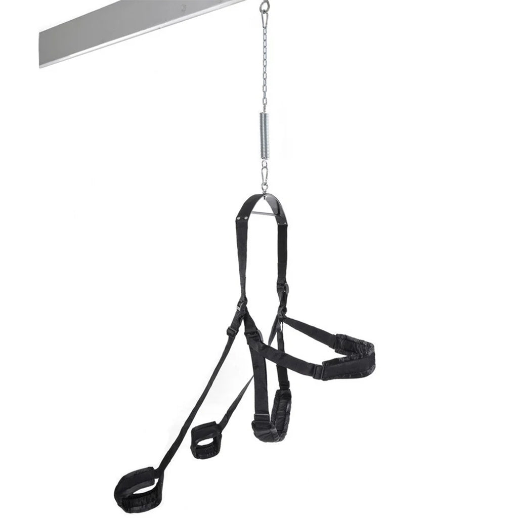 Fetish Fantasy Swing in Black Bondage and Fetish > Sex Swings and Suspension - Tophatter Daily Deals