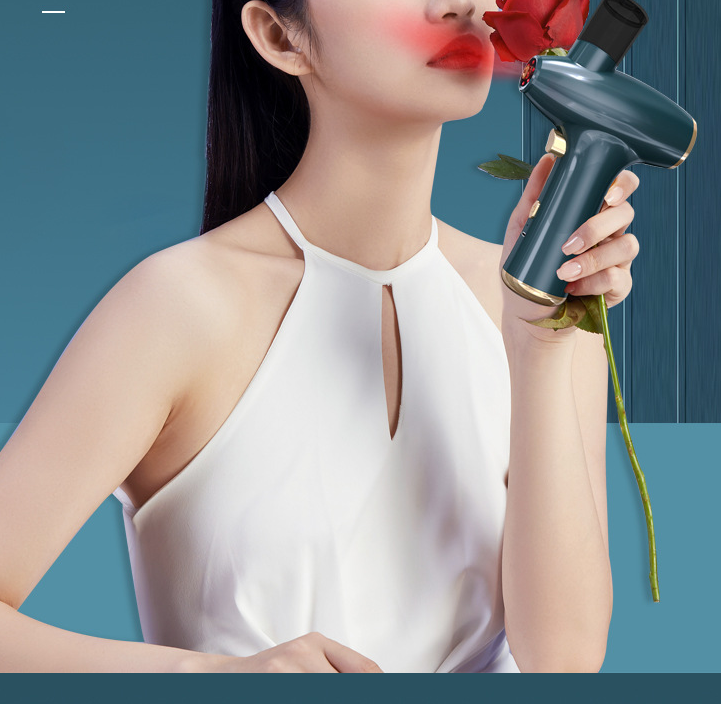 Blue Light Oxygenator Household Sprayer Hydrating Instrument 0 - Tophatter Daily Deals